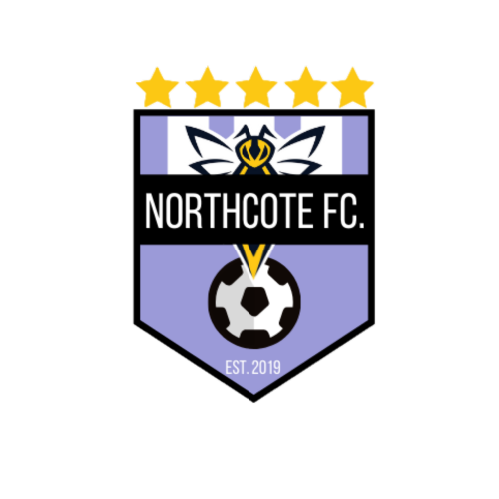 Northcote Hornets logo purple 2